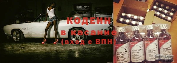 индика Дмитровск