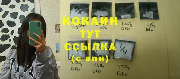 крисы Дмитриев