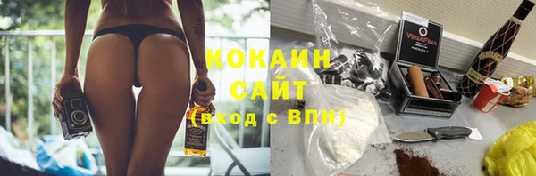 индика Дмитровск