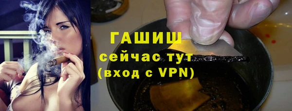 индика Дмитровск