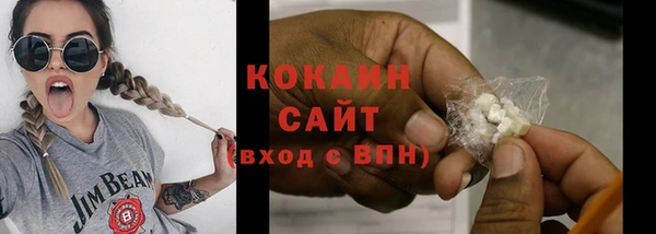 индика Дмитровск