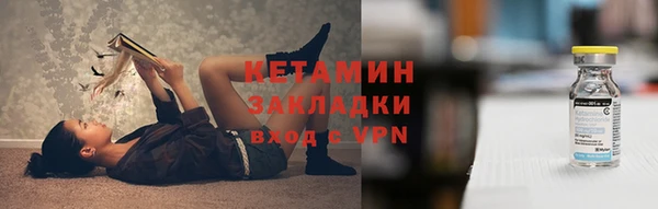 индика Дмитровск