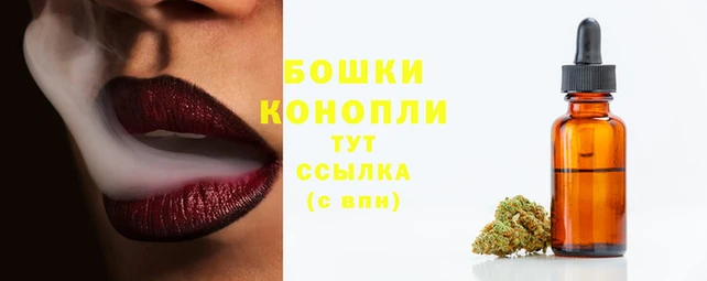 индика Дмитровск