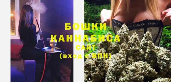 крисы Дмитриев