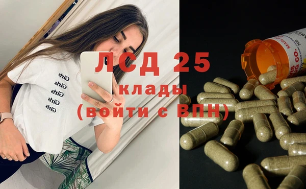 индика Дмитровск