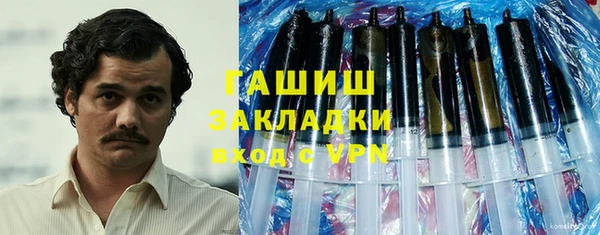 индика Дмитровск