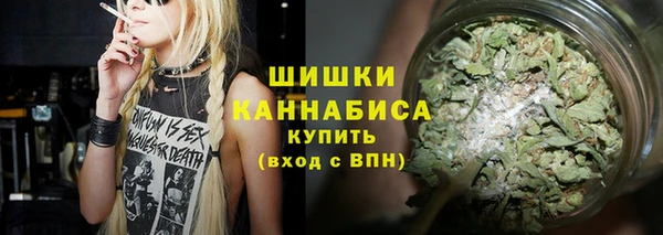 индика Дмитровск
