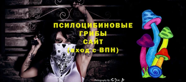 индика Дмитровск