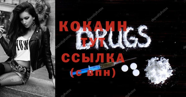 крисы Дмитриев