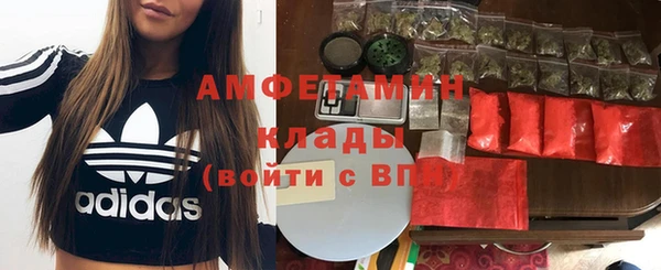 крисы Дмитриев