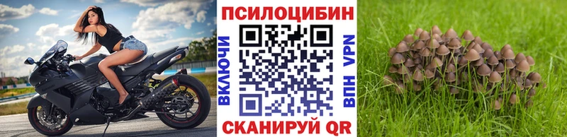 Галлюциногенные грибы ЛСД  kraken как зайти  Избербаш 